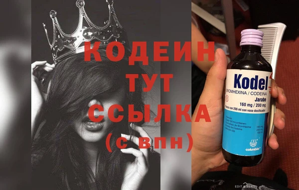 СК Печоры