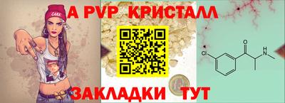 мяу мяу мука Беслан