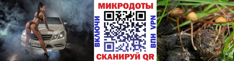 Галлюциногенные грибы Magic Shrooms  дарнет шоп  Набережные Челны 