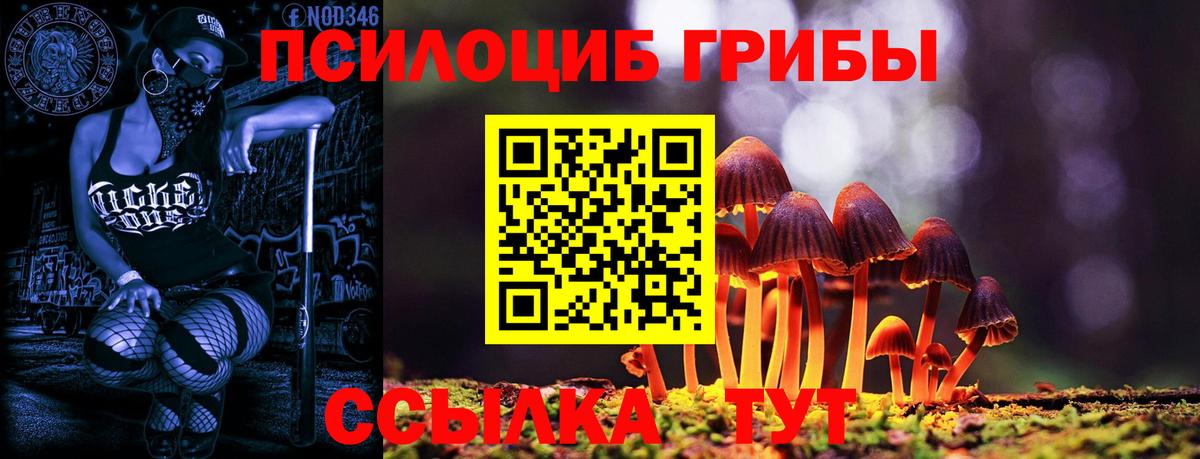 Галлюциногенные грибы MAGIC MUSHROOMS  Набережные Челны 