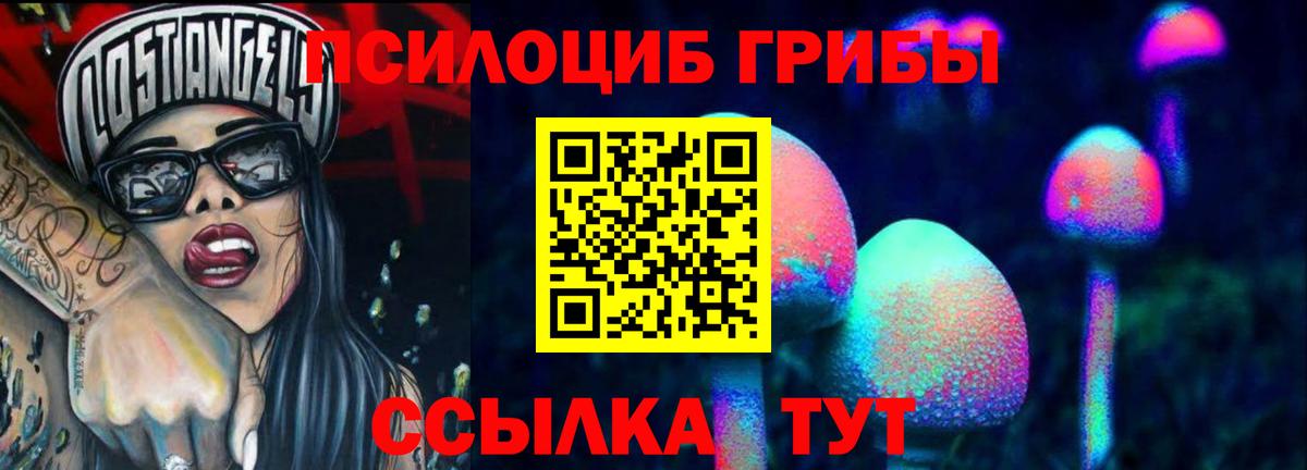 что такое наркотик  Псилоцибиновые грибы мицелий  Вход с VPN  Набережные Челны 